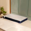 Fibrom Firm Pillow
