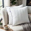 Granules Cushion