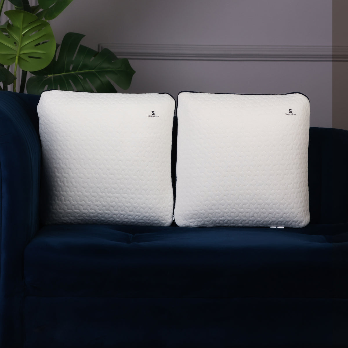 Two white square Sleepstore pillows with textured covers placed on a dark blue sofa beside green indoor plants.