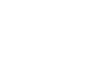 Premium & Sustainable